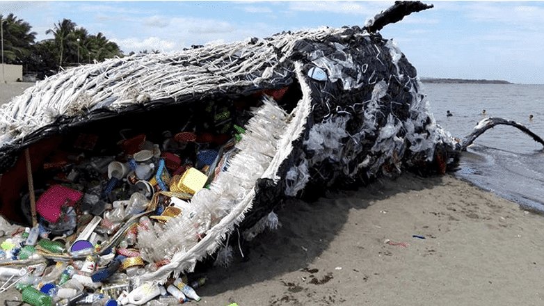 Illustration - Haute-mer : une protection plus que douteuse