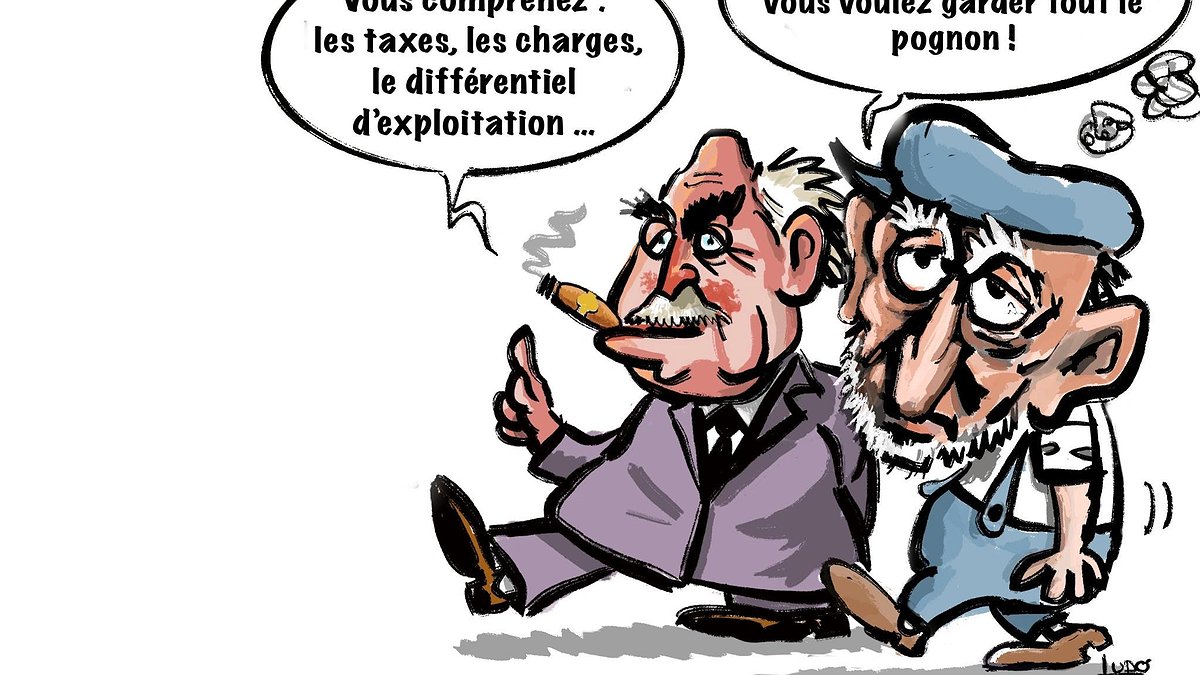 Illustration - Haut conseil des bas salaires