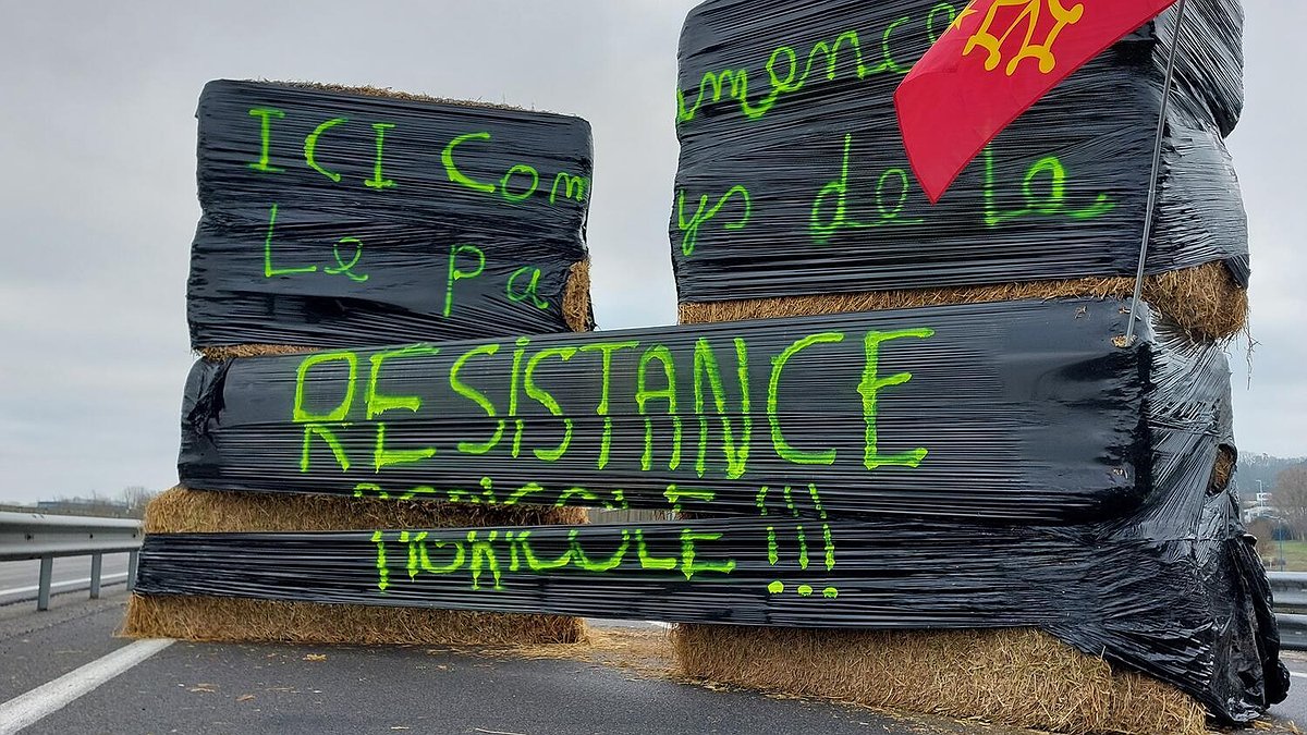 Illustration - Agriculteurs : le gouvernement marche sur des œufs