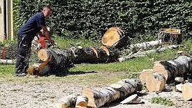 Illustration - Il n'est pire sourd...