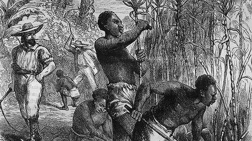 Illustration - Commémoration de l’abolition de l’esclavage au Havre