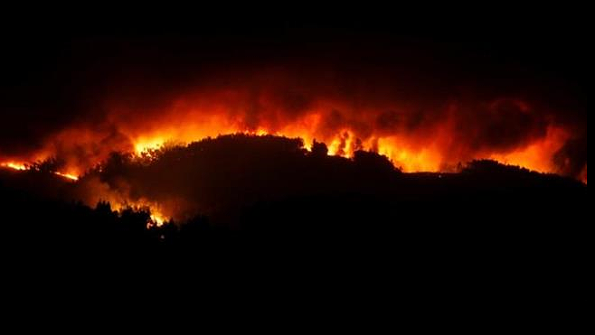 Illustration - Incendies au Portugal : une catastrophe pas que naturelle