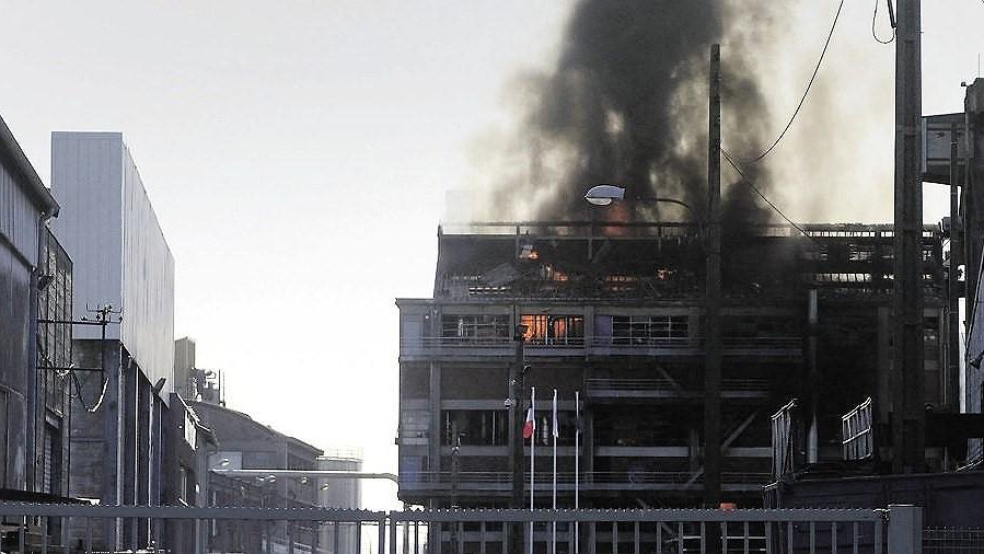 Illustration - Morts pour les profits de Saipol et du groupe Avril