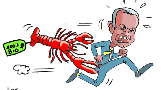 Illustration - Tout aussi choquant