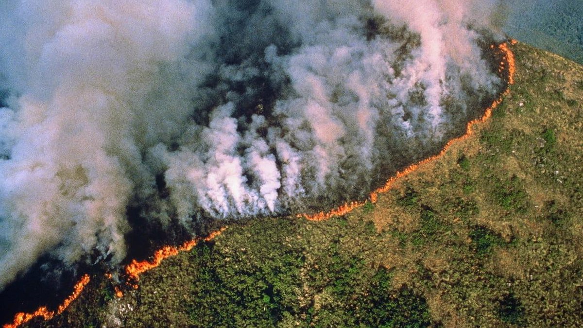 Incendies en Amazonie : responsabilités et exploitation politicienne
