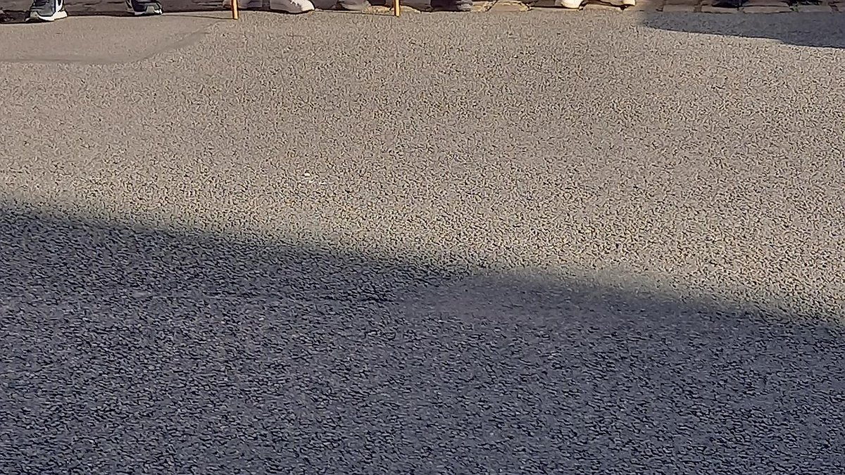 Illustration - Maintien des emplois et des salaires