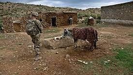 Illustration - Afghanistan : l’armée américaine s’en ira, le chaos restera
