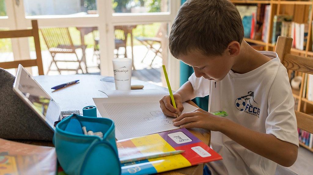 Illustration - Enseignement à distance : un coup des Russes ?