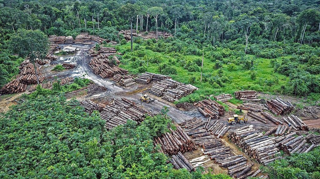 Illustration - Forêt amazonienne : le capitalisme brûle nos vaisseaux