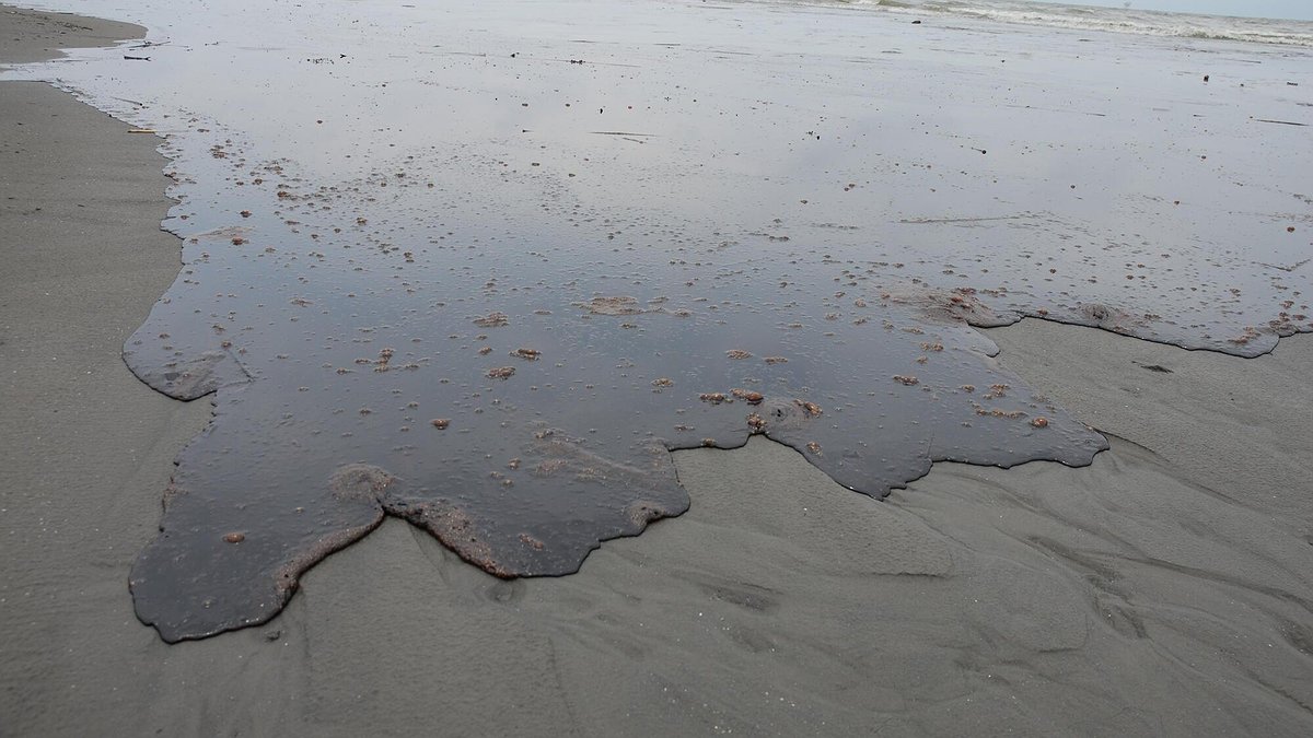 Illustration - Marées noires de profits