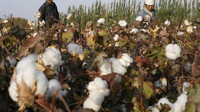 Illustration - Cachez cette exploitation que je ne saurais voir