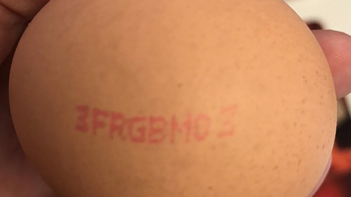 Illustration - Œufs : la spéculation couve