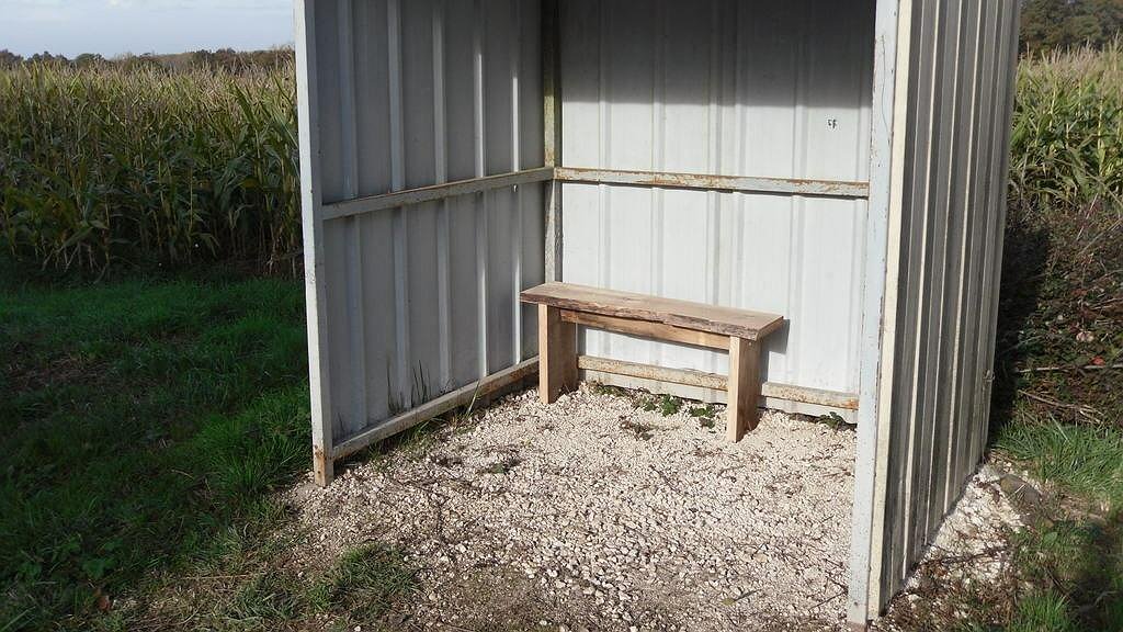 Illustration - Chauffeur licencié, diktat patronal