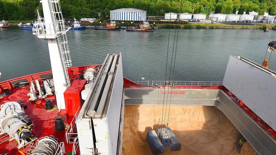 Illustration - Sénalia, comment faire de l'or avec du blé