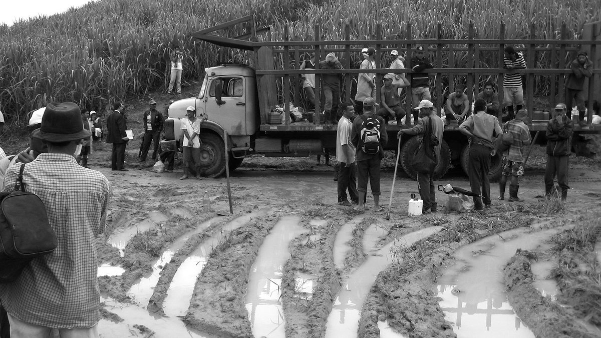 Illustration - Brésil : toujours des travailleurs « en conditions d’esclavage »