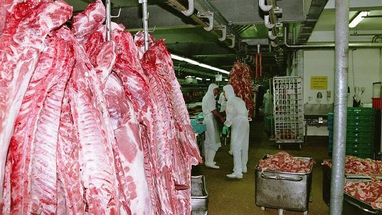 Illustration - À la Cooperl, la colère a éclaté