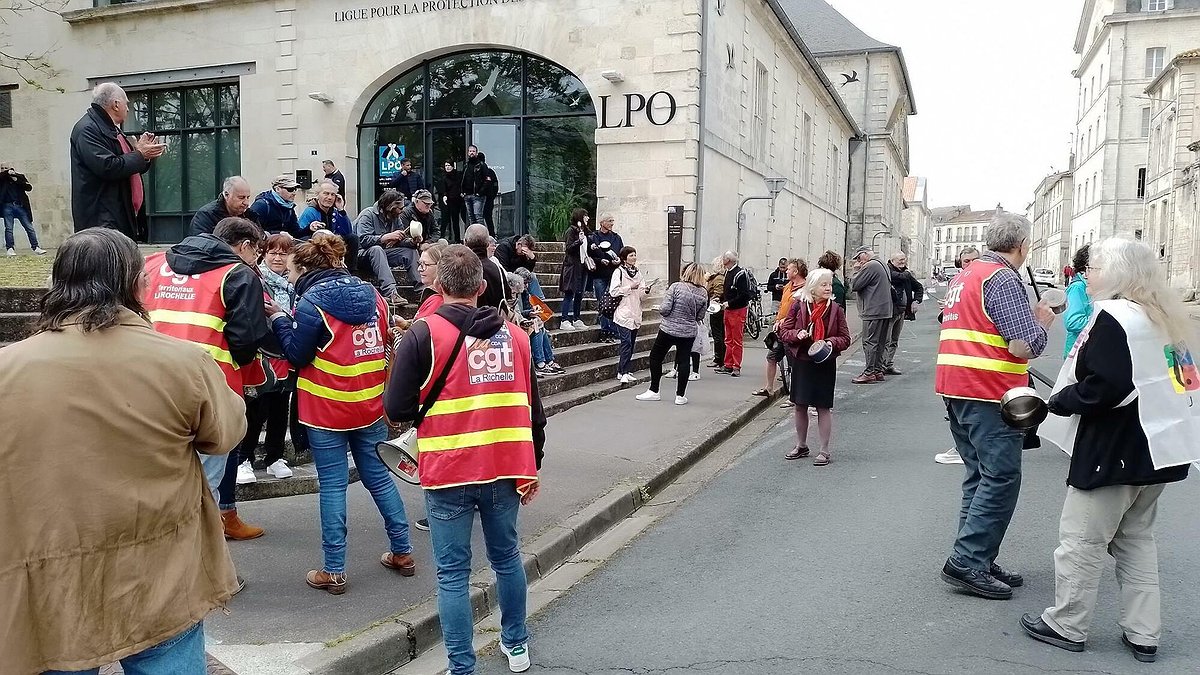 Illustration - Visite de la ministre de l’écologie : les oiseaux en rient encore !