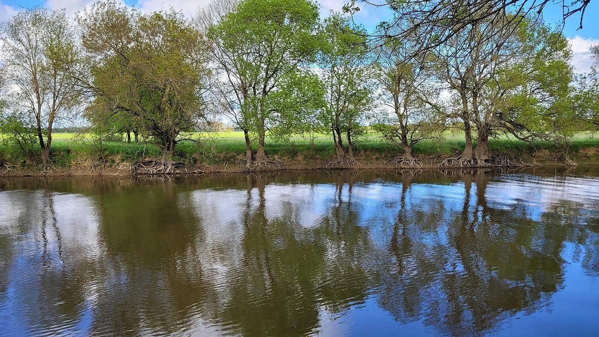 Illustration - Constellium : une pollution de trop