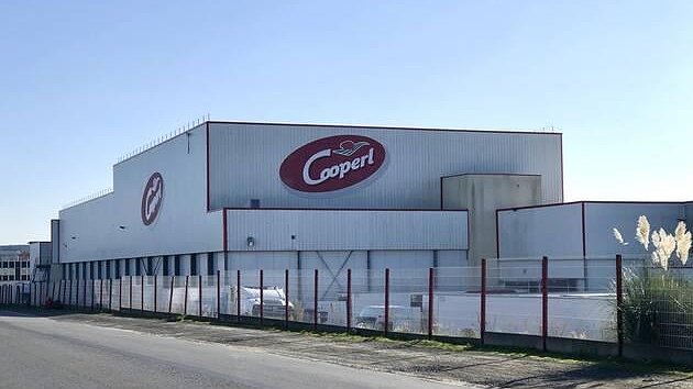 Illustration - Bacs volants 