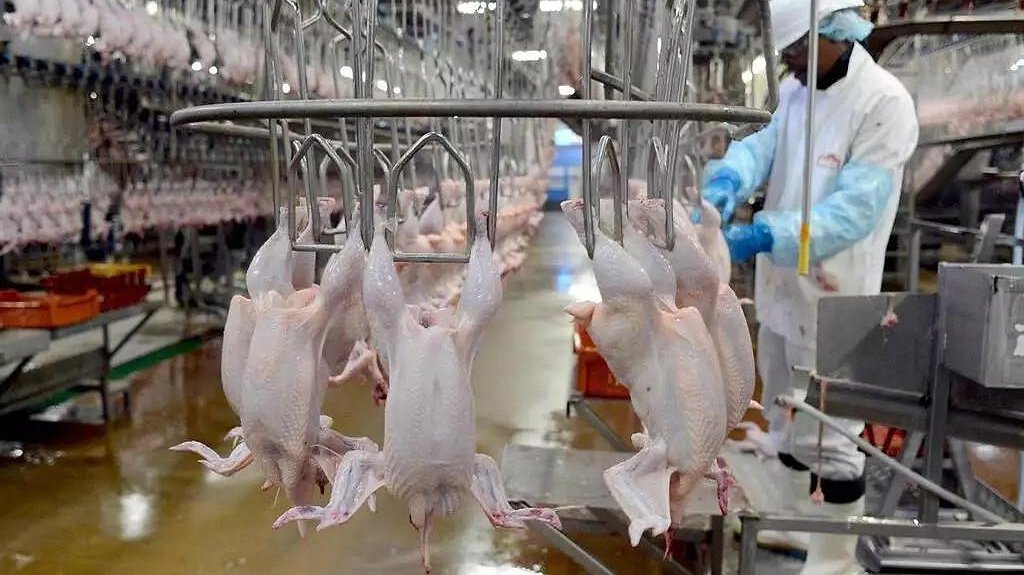 Illustration - Les nouveaux rois 