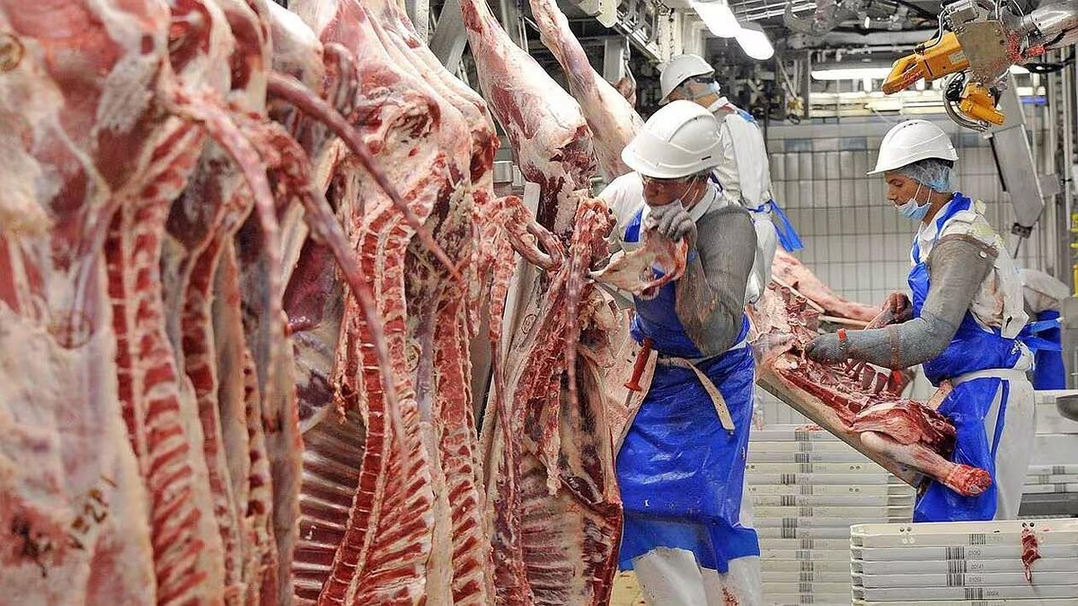 Illustration - SVA condamnée