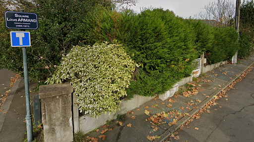 Illustration - Aberrant