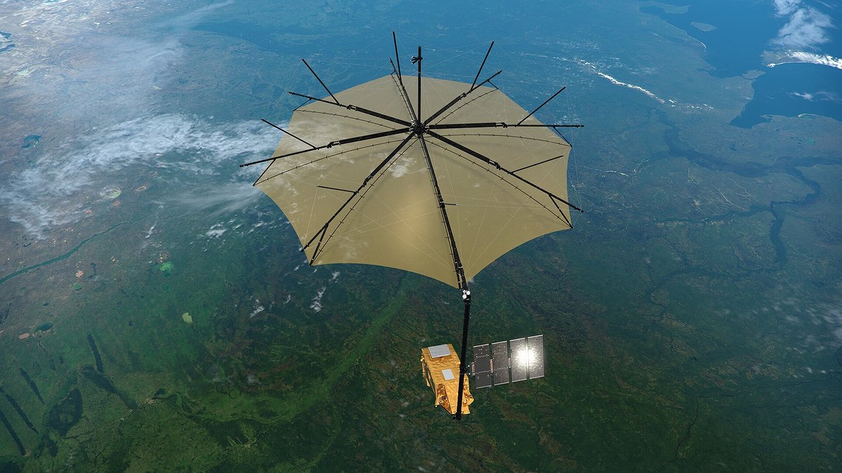 Illustration - lancement prochain d’un satellite pour observer les forêts