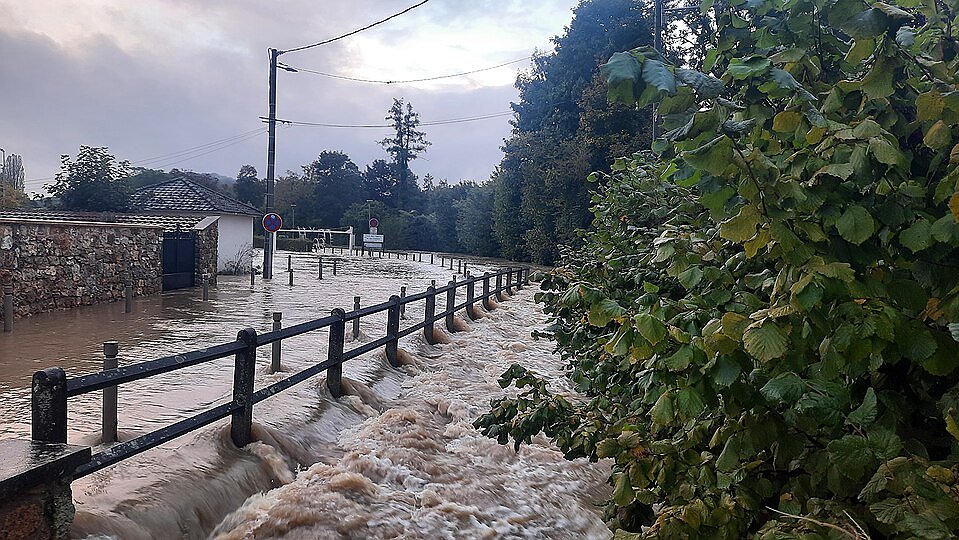 Illustration - socialisation version capitaliste