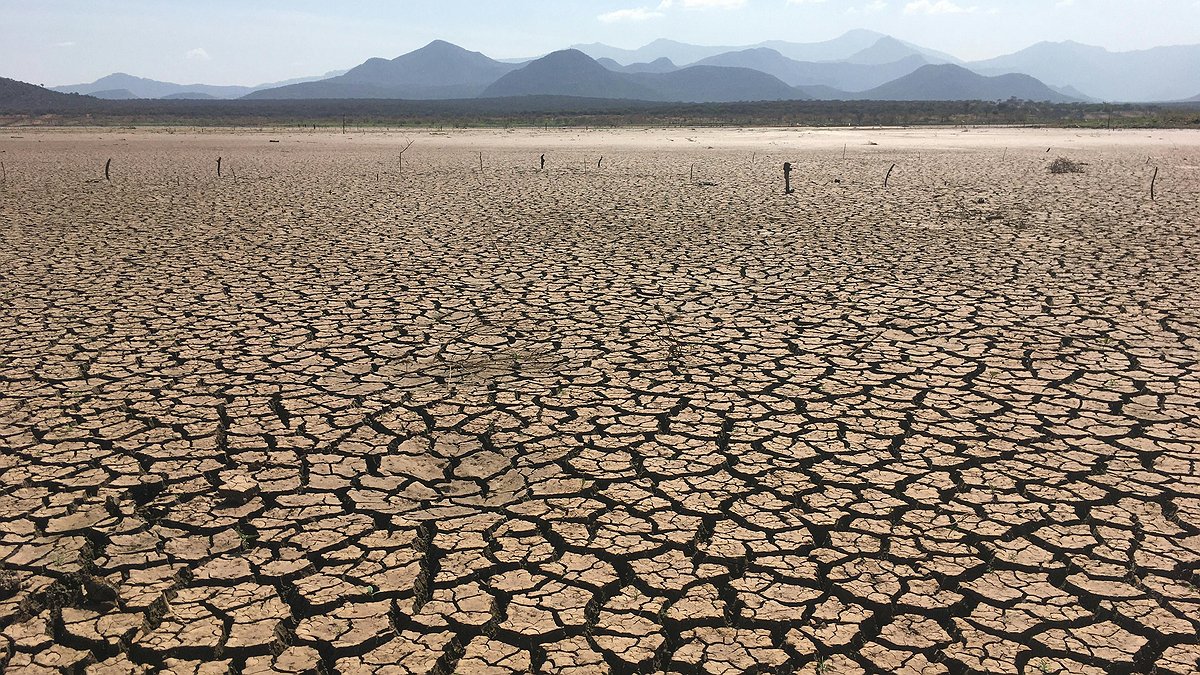 Illustration - un système d'irresponsables