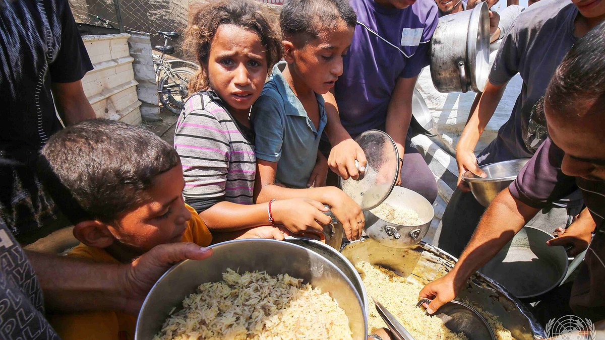 Illustration - les assassins et leurs complices