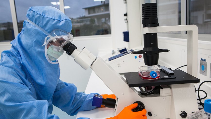 Illustration - Pas touche aux emplois et aux salaires !