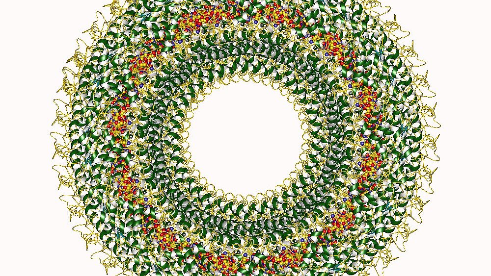 Illustration - la Bourse va mieux que les enfants