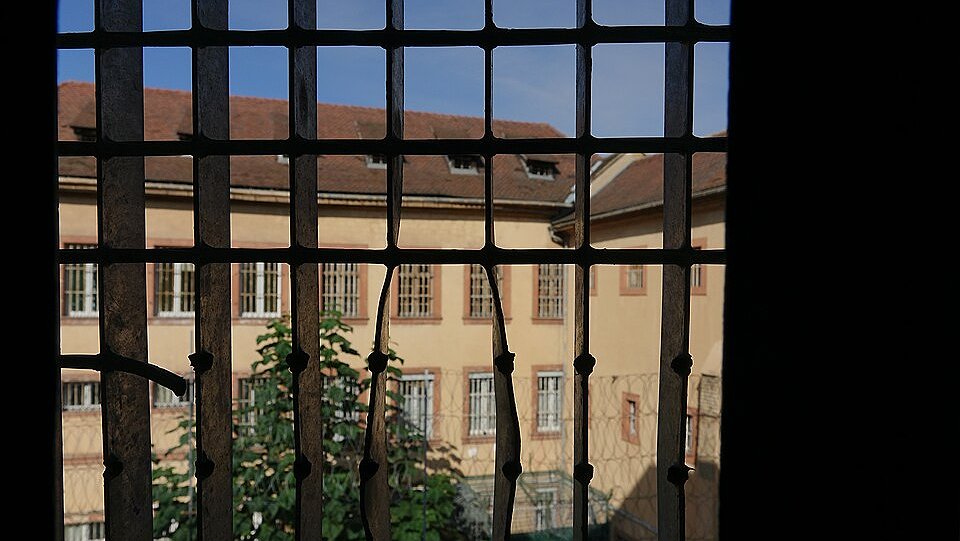 Illustration - indignes