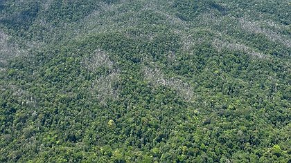 Illustration le capitalisme responsable