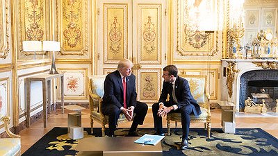 Illustration - match entre vautours