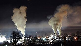 Illustration - Feuille de vigne protectionniste