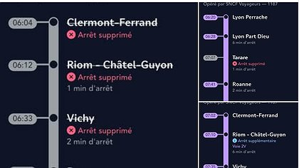 Illustration Élaguer les arbres... et la politique d'économie !
