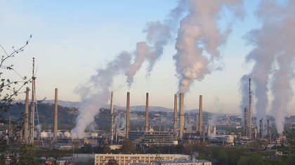 Illustration les profits ont l'odeur du sang