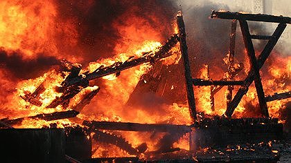 Illustration - feu de tout bois