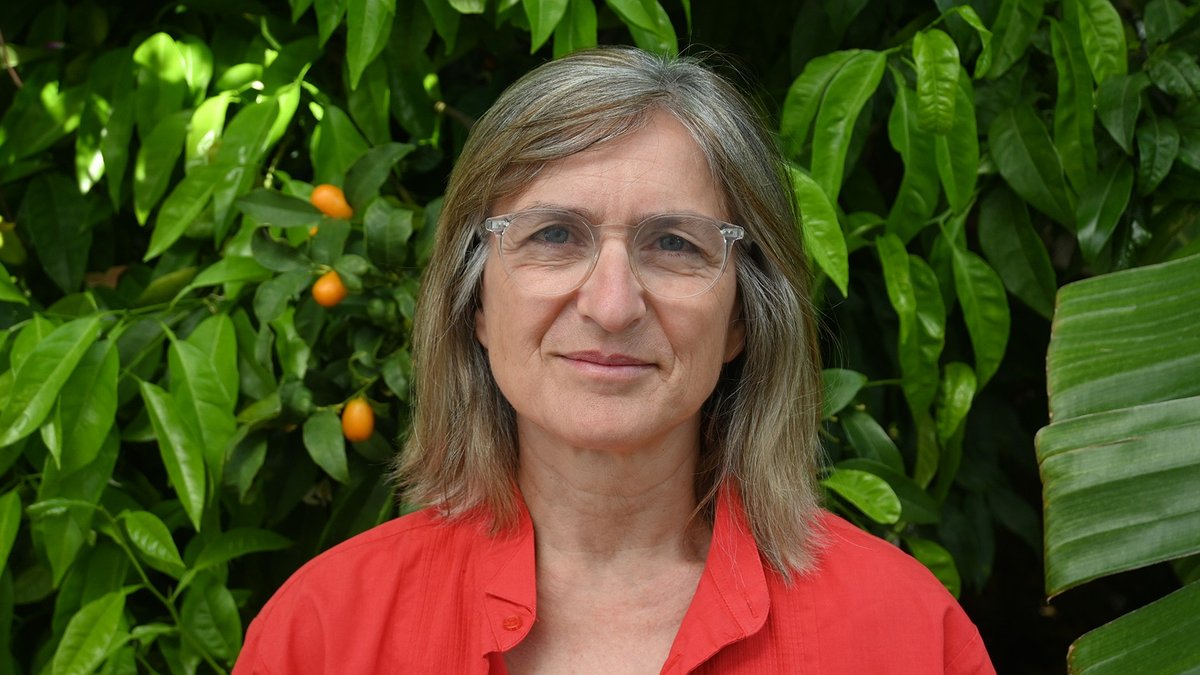 Illustration Des listes "Lutte ouvrière - le camp des travailleurs" à Nice, Toulon et Arles