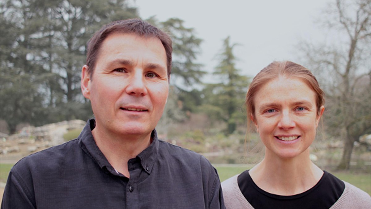 Illustration - Saint-Fons