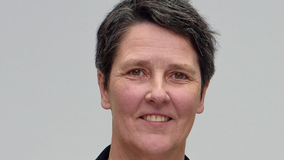 Illustration - Fougères