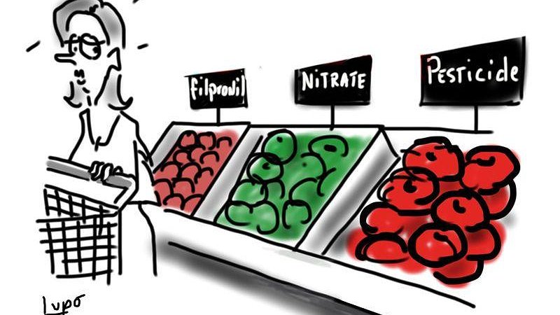 Illustration - le mildiou capitaliste