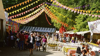 Illustration article