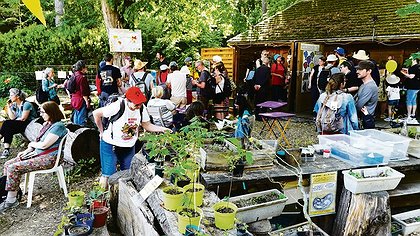 Illustration article