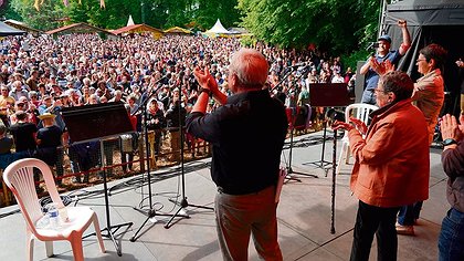 Illustration article