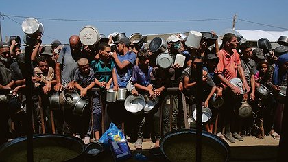 Illustration article