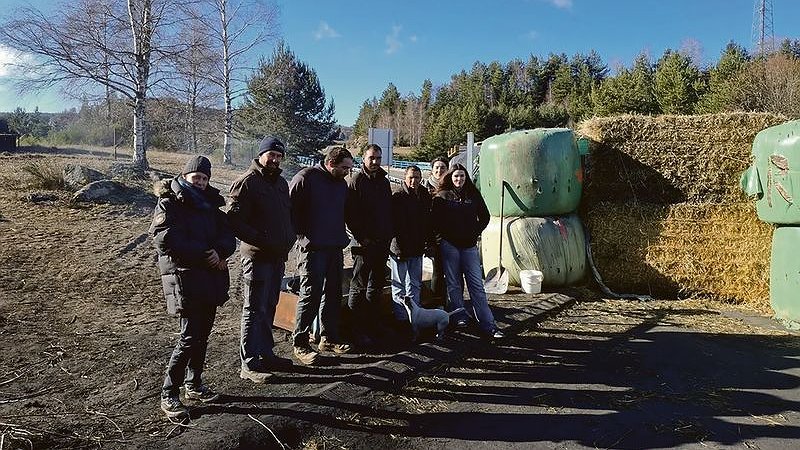 Illustration - concurrence et loi de la jungle