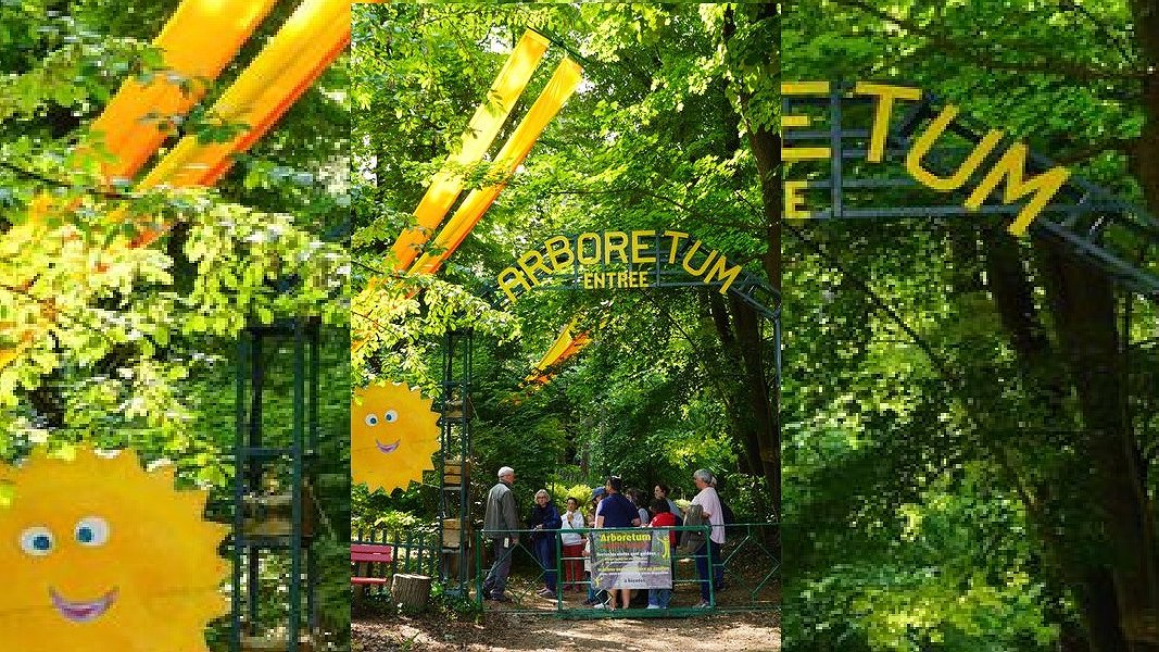 Illustration - L’Arboretum